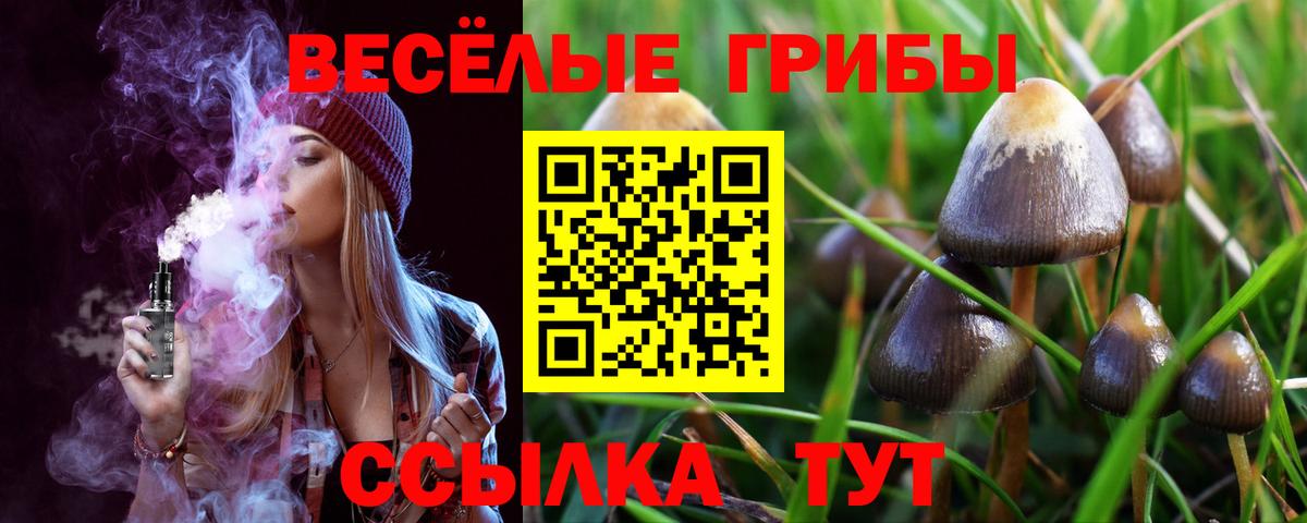 Галлюциногенные грибы мухоморы  Вход с VPN  Ростов Великий 